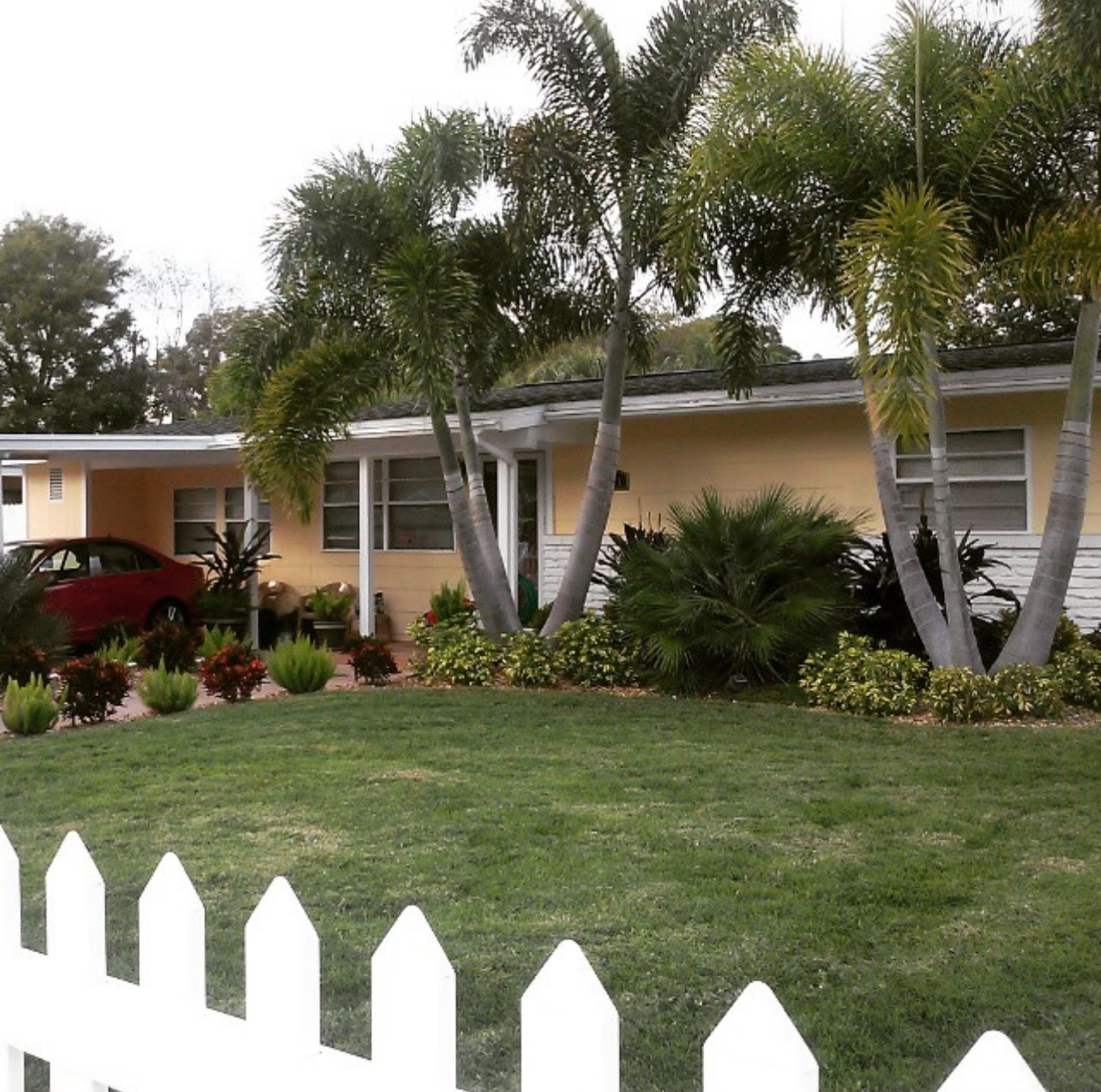 Grass cutting services Tampa Bay