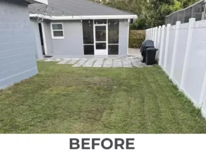 before tampa landscaping services