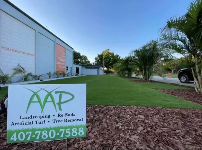 tampa landscaping services